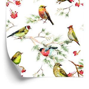 Papier Peint Oiseaux Multicolores Perchés Sur Des Branches – Image 2