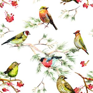 Papier Peint Oiseaux Multicolores Perchés Sur Des Branches – Image 1