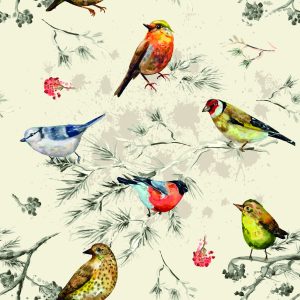Papier Peint Oiseaux Colorés – Image 1