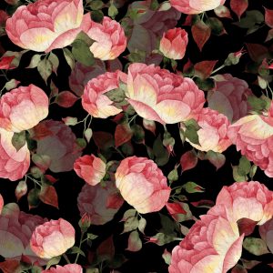 Papier Peint Des Roses – Image 1