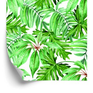 Papier Peint Feuilles Tropicales – Image 2