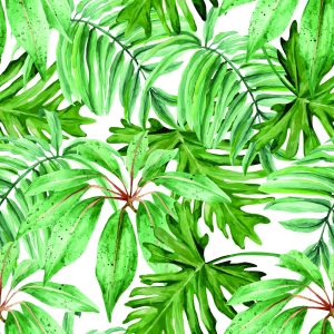 Papier Peint Feuilles Tropicales – Image 1