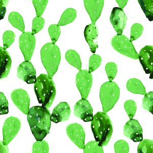 Papier Peint Fleurs De Cactus Aquarelle – Image 1