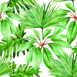 Papier Peint Feuilles Tropicales – Image 1