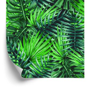 Papier Peint Belles Feuilles Tropicales – Image 2