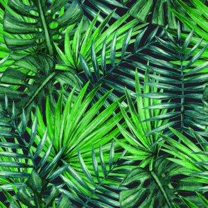 Papier Peint Belles Feuilles Tropicales – Image 1