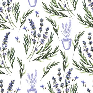 Papier Peint Lavande En Pot – Image 1