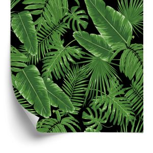 Papier Peint Feuilles Tropicales – Image 2