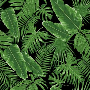 Papier Peint Feuilles Tropicales – Image 1
