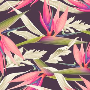 Papier Peint Fond D'écran – Image 1