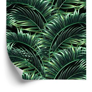 Papier Peint Feuilles De Palmier – Image 2