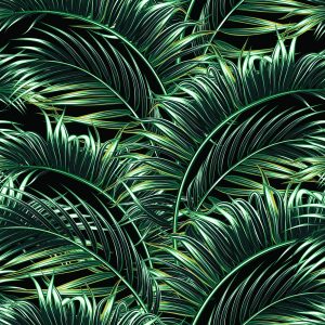 Papier Peint Feuilles De Palmier – Image 1