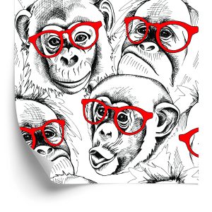 Papier Peint Chimpanzés – Image 2