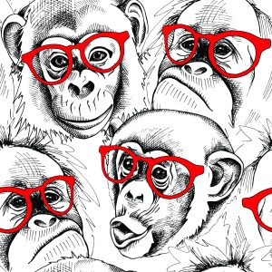 Papier Peint Chimpanzés – Image 1