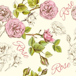 Papier Peint Roses Élégantes – Image 1