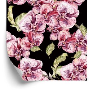 Papier Peint Orchidée Orchidée Nature Fleurs – Image 2