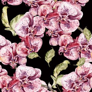 Papier Peint Orchidée Orchidée Nature Fleurs – Image 1