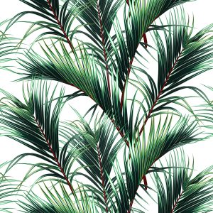 Papier Peint Feuilles De Palmier – Image 1