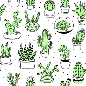 Papier Peint Pour Les Cactus De La Chambre Au Style Scandinave – Image 1