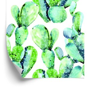 Papier Peint Fleurs Plantes Cactus – Image 2