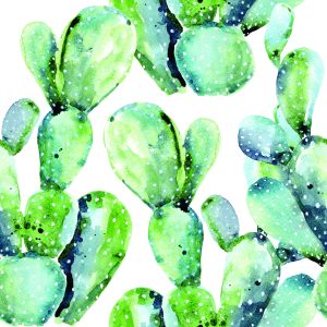 Papier Peint Fleurs Plantes Cactus – Image 1