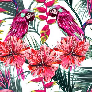 Papier Peint Perroquets Colorés – Image 1