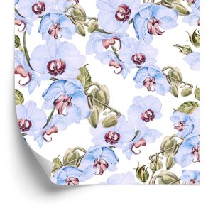 Papier Peint Pour Les Orchidées De Salon, Les Feuilles, La Nature, Les Plantes – Image 2