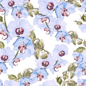 Papier Peint Pour Les Orchidées De Salon, Les Feuilles, La Nature, Les Plantes – Image 1