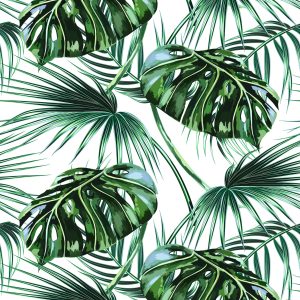 Papier Peint Feuilles De Palmier Et De Monstère – Image 1