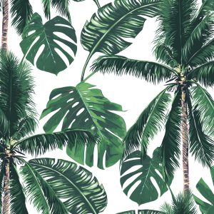 Papier Peint Forêt De Palmiers De La Nature Pour La Chambre Du Salon – Image 1