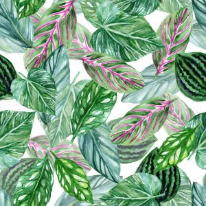 Papier Peint Feuilles Vertes – Image 1