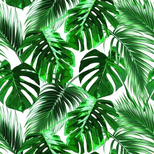 Papier Peint Feuilles De Palmier Et De Monstère – Image 1