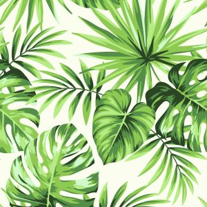 Papier Peint Feuilles Exotiques – Image 1