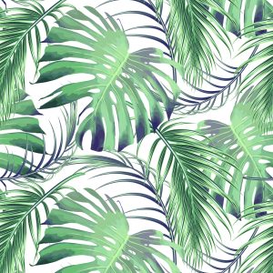 Papier Peint Feuilles De Palmier Et De Monstère – Image 1