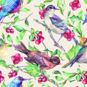 Papier Peint Beaux Oiseaux Colorés – Image 1
