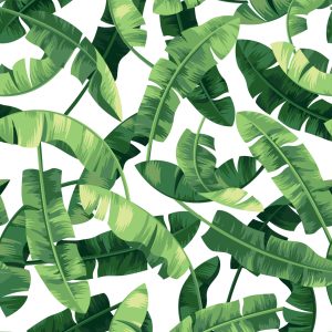 Papier Peint Feuilles De Banane – Image 1