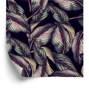 Papier Peint Belle – Image 2