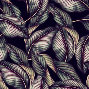 Papier Peint Belle – Image 1