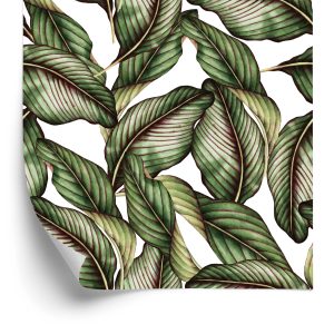 Papier Peint Végétaux – Image 2