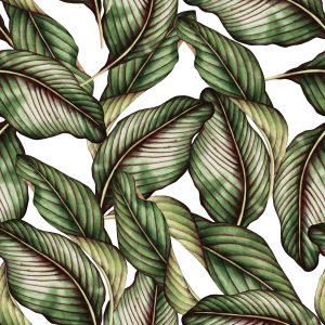 Papier Peint Végétaux – Image 1
