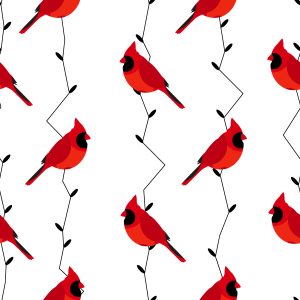 Papier Peint Beaux Oiseaux Colorés – Image 1