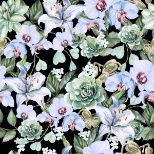Papier Peint Les Plantes La Nature Les Orchidées Les Orchidées Les Orchidées – Image 1