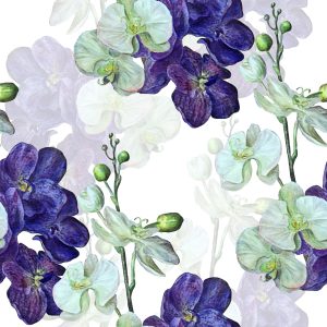 Papier Peint Orchidée Orchidée Fleurs Nature – Image 1