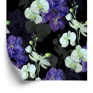 Papier Peint Orchidée Orchidée Nature Fleurs – Image 2
