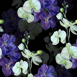 Papier Peint Orchidée Orchidée Nature Fleurs – Image 1
