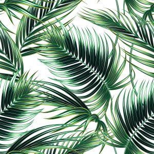 Papier Peint Feuilles De Palmier À La Mode – Image 1