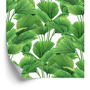 Papier Peint Noix De Coco Aquarelle Et Feuilles De Palmier – Image 2