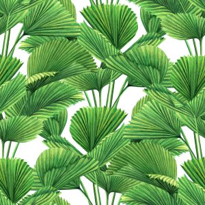 Papier Peint Noix De Coco Aquarelle Et Feuilles De Palmier – Image 1