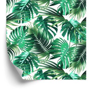 Papier Peint Feuilles De Palmier Et De Monstère – Image 2