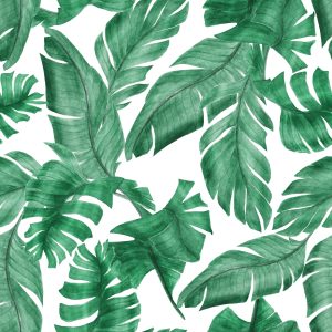 Papier Peint Feuilles De Banane – Image 1